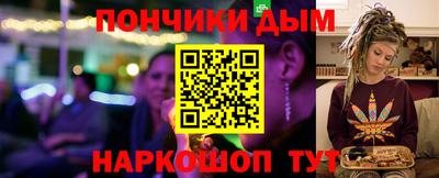 шишки Кимры