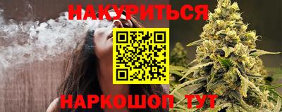 шишки Кимры