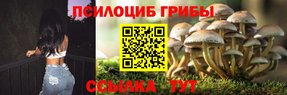 Псилоцибиновые грибы Cubensis  Галлюциногенные грибы Cubensis  Донецк  Вход с VPN 